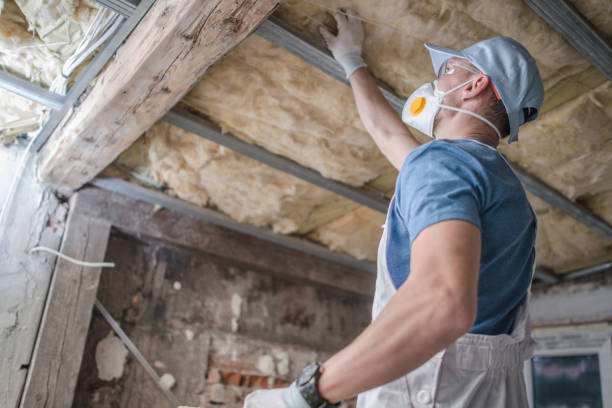 Best Specialty Insulation in West Carrollton, OH