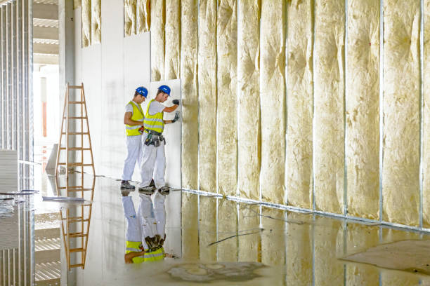Best Residential Insulation in West Carrollton, OH